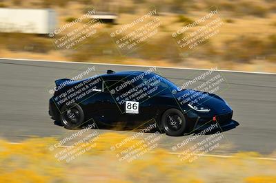 media/Nov-16-2024-Extreme Speed (Sat) [[6587d07cc4]]/Gold Group/Session 3 (The Bowl)/